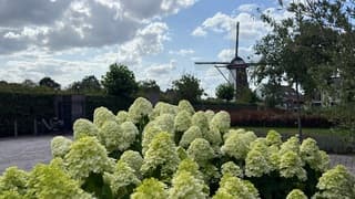 Wolken en zon bij een matige wind