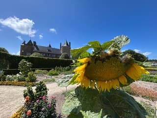 Kasteeltuin Assumburg 