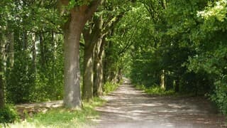 Nog groen