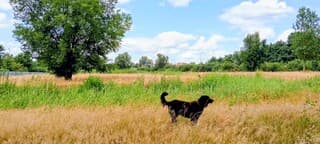 Aanhoudende droogte 