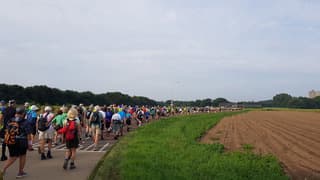 Vierdaagse 