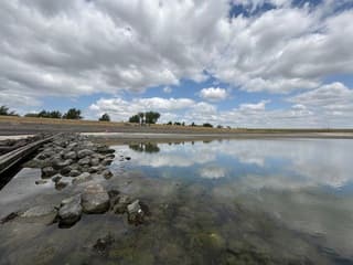 Spiegeling