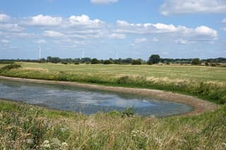 Droogte