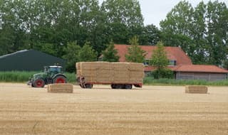 Drukte voor de boeren