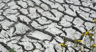 Droogte