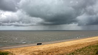 Regen meer dan welkom, zie verdorde gras 