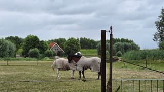 Bewolktelucht!