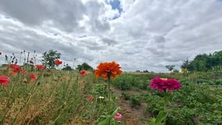 Veel bewolking vandaag en weinig zon