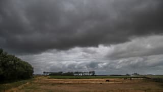 Regenbui