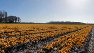 Even een test