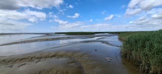 Nieuwe Statenzijl 