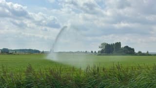 Droogte 