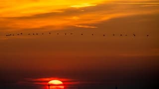 ONDERGAANDE ZON