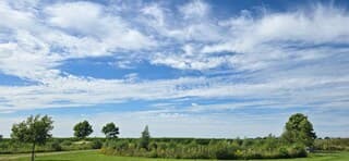 Sluierbewolking