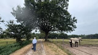 Wandelen vóór de regen 