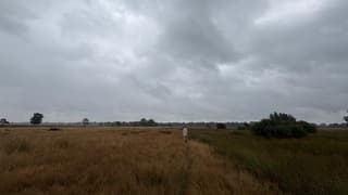 Donkere wolken boven het Dwingelderveld 