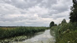 Bewolkte lucht 