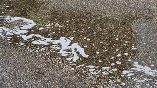 Schuim van de regen