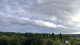 Rol wolk 