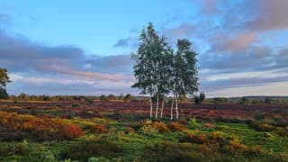 Tussen de buien door mooie lucht