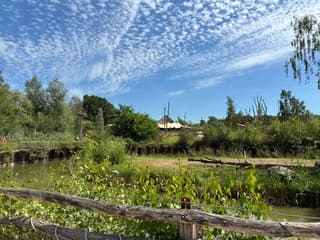 Een dagje Beekse Bergen hier de foto’s van deze mooie dag hier de foto’s deel 1