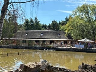Een dagje Beekse Bergen hier de foto’s van deze mooie dag hier de foto’s deel 1