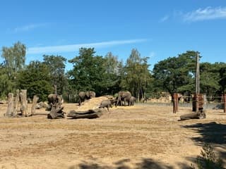 Een dagje Beekse Bergen hier de foto’s van deze mooie dag hier de foto’s deel 1