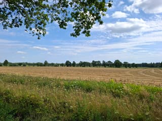 Landschap in Epe