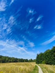 Dynamic Skies 