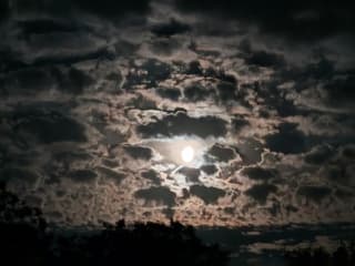 Darkmoon