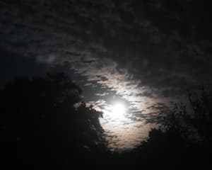 Volle maan 
