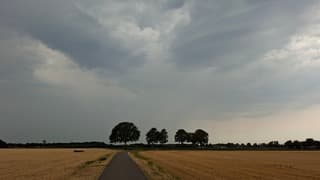 Regenbuien 