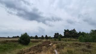 Bewolkt 