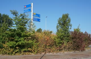 Droogte