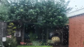 Regen met onweer en wind