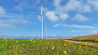 Geen zuchtje wind; de windmolens staan stil