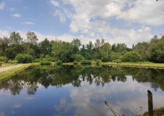 Weerspiegeling in visvijver 