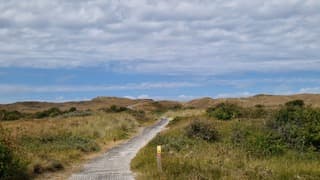 Wandelweer op Texel 