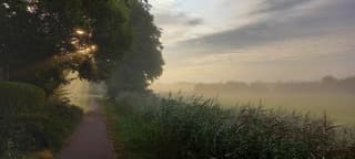Mist in de ochtend