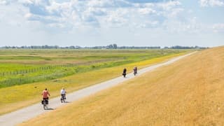 Fietsen langs de uitgedroogde dijk 