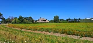 Strak blauwe lucht in Beverwijk eerder vandaag 