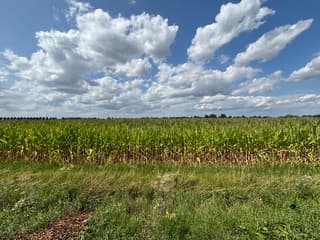 Hollandse wolkenluchten 