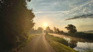 Eendjes in de ochtendzon