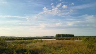 Engbertsdijksvenen