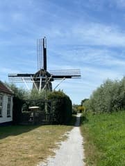 Ooievaars op stok