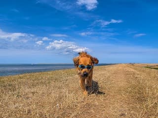 mooi weer,zon,blauwe lucht..wolken/bewolkingen afkoelende  wind aan zee..