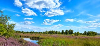 Wolkenvelden 