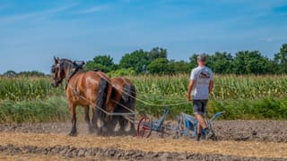 Zomers warm met een licht briesje