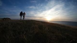 Avond wandeling aan de dijk