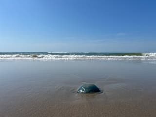 Wijk aan Zee